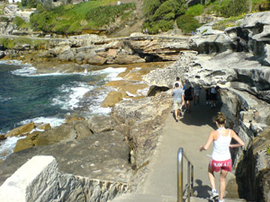bondi1