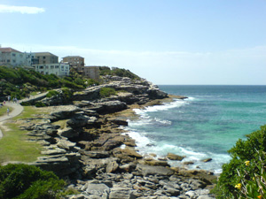 bondi3