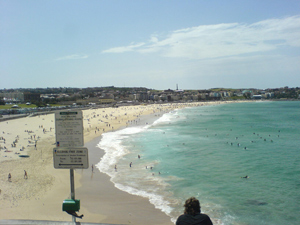 bondi4