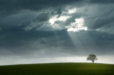 Tree Clouds.jpg